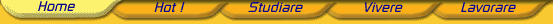 Navigation Bar