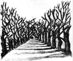 Main Page Image